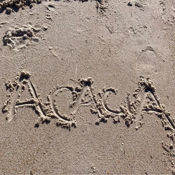 ACACIA - Free People Clove Piped Oxford Bikini Bottom - L - Picture 7 of 16